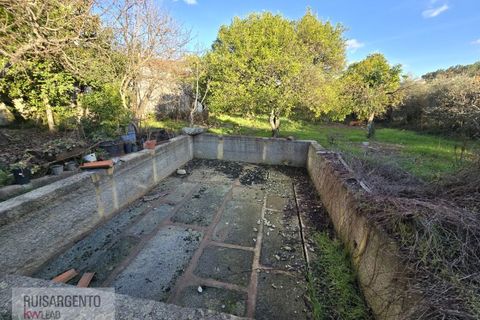 Farm i Aranhas, Castelo Branco, Aranhas - € 298.000 | Ref: MAS_226RS210126 - foto 22
