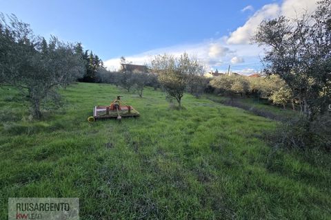 Farm i Aranhas, Castelo Branco, Aranhas - € 298.000 | Ref: MAS_226RS210126 - foto 24