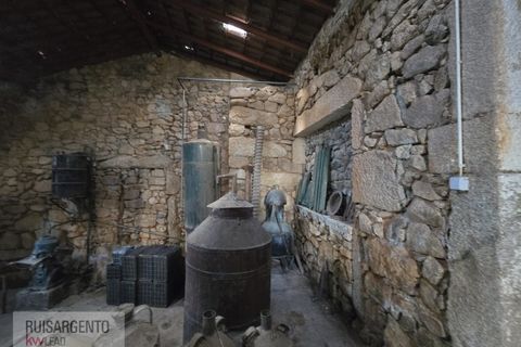 Farm i Aranhas, Castelo Branco, Aranhas - € 298.000 | Ref: MAS_226RS210126 - foto 27