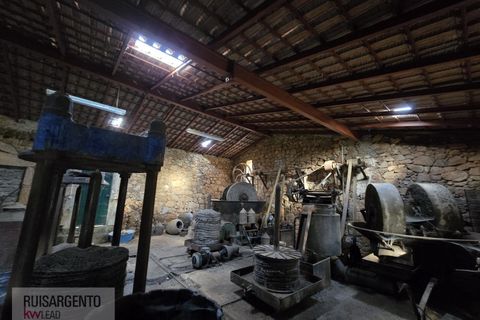 Farm i Aranhas, Castelo Branco, Aranhas - € 298.000 | Ref: MAS_226RS210126 - foto 1