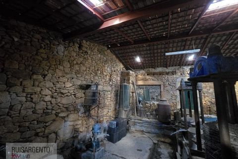 Farm i Aranhas, Castelo Branco, Aranhas - € 298.000 | Ref: MAS_226RS210126 - foto 28