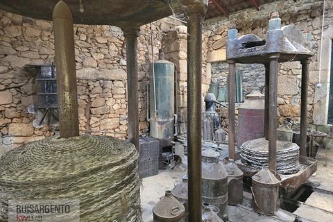 Farm i Aranhas, Castelo Branco, Aranhas - € 298.000 | Ref: MAS_226RS210126 - foto 30