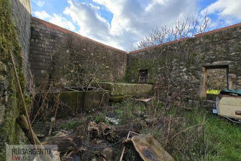Farm i Aranhas, Castelo Branco, Aranhas - € 298.000 | Ref: MAS_226RS210126 - foto 33