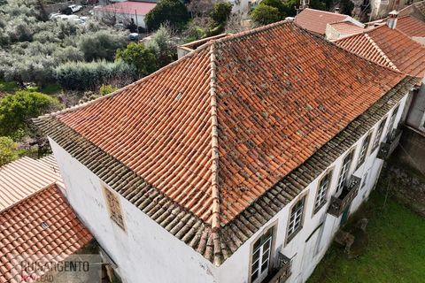 Farm i Aranhas, Castelo Branco, Aranhas - € 298.000 | Ref: MAS_226RS210126 - foto 36