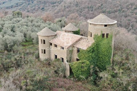 Villa a Farnese, Viterbo, Farnese - € 185.000 | Ref: CBI105-1176-442 - foto 7