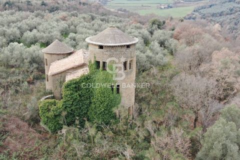 Villa a Farnese, Viterbo, Farnese - € 185.000 | Ref: CBI105-1176-442 - foto 8