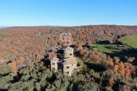 Villa a Farnese, Viterbo, Farnese - € 185.000 | Ref: CBI105-1176-442 - foto 28