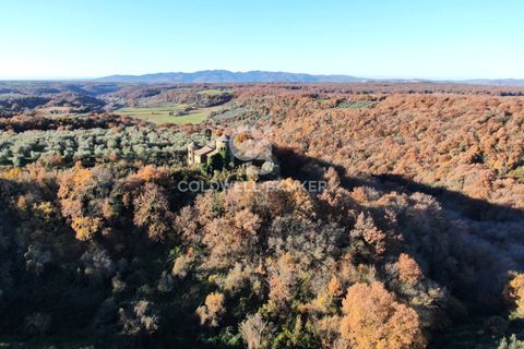 Villa a Farnese, Viterbo, Farnese - € 185.000 | Ref: CBI105-1176-442 - foto 30