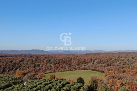 Villa a Farnese, Viterbo, Farnese - € 185.000 | Ref: CBI105-1176-442 - foto 31