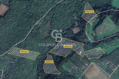 Villa a Farnese, Viterbo, Farnese - € 185.000 | Ref: CBI105-1176-442 - foto 32