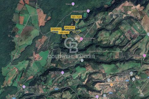 Villa a Farnese, Viterbo, Farnese - € 185.000 | Ref: CBI105-1176-442 - foto 33
