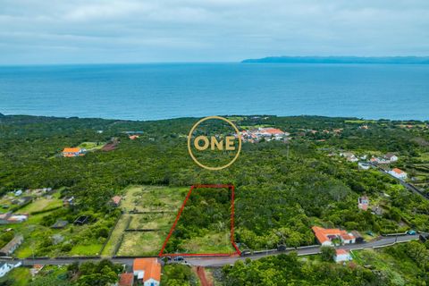 Helårsgrund i Sao Roque do Pico, Pico, Sao Roque do Pico - € 120.000 | Ref: ONE401674-19 - foto 1