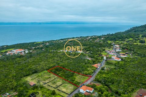 Helårsgrund i Sao Roque do Pico, Pico, Sao Roque do Pico - € 120.000 | Ref: ONE401674-19 - foto 2