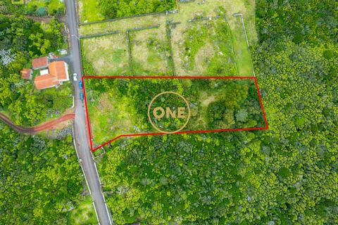Helårsgrund i Sao Roque do Pico, Pico, Sao Roque do Pico - € 120.000 | Ref: ONE401674-19 - foto 3