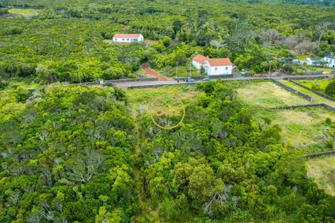 Helårsgrund i Sao Roque do Pico, Pico, Sao Roque do Pico - € 120.000 | Ref: ONE401674-19 - foto 5