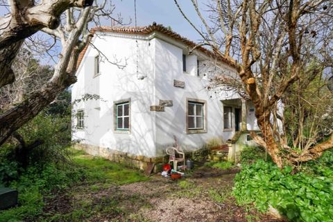 Farm i Belas, Lisbon, Belas - € 850.000 | Ref: KWPT-026955 - foto 30