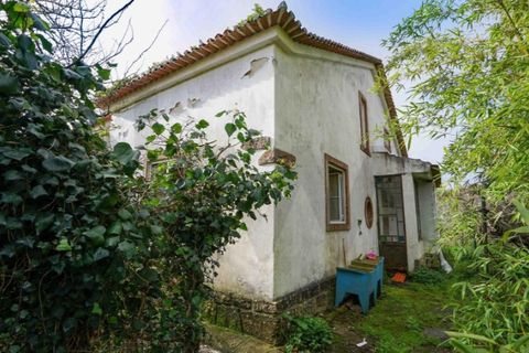 Farm i Belas, Lisbon, Belas - € 850.000 | Ref: KWPT-026955 - foto 31