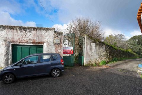 Farm i Belas, Lisbon, Belas - € 850.000 | Ref: KWPT-026955 - foto 33