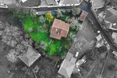 Farm i Belas, Lisbon, Belas - € 850.000 | Ref: KWPT-026955 - foto 37