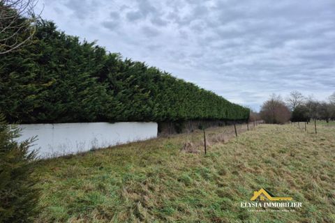 Terra a Valleroy, Meurthe-et-Moselle, Valleroy - € 66.000 | Ref: WBVTE20000188 - foto 2