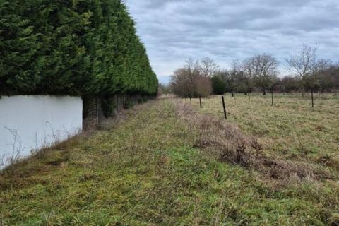 Terra a Valleroy, Meurthe-et-Moselle, Valleroy - € 66.000 | Ref: WBVTE20000188 - foto 4