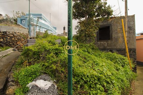 Byhus i Ribeira Brava, Madeira, Ribeira Brava - € 1.450.000 | Ref: ONE361961-2 - foto 39
