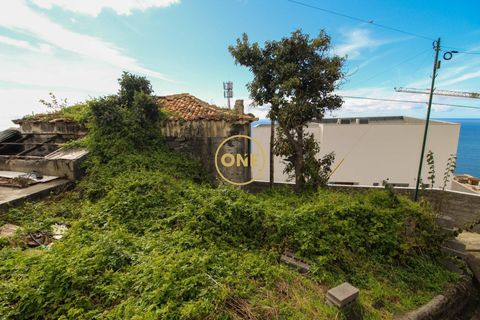 Byhus i Ribeira Brava, Madeira, Ribeira Brava - € 1.450.000 | Ref: ONE361961-2 - foto 40