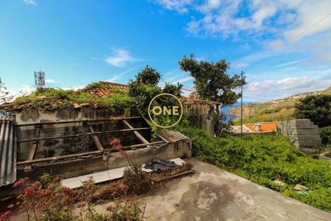 Byhus i Ribeira Brava, Madeira, Ribeira Brava - € 1.450.000 | Ref: ONE361961-2 - foto 41