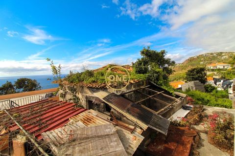 Byhus i Ribeira Brava, Madeira, Ribeira Brava - € 1.450.000 | Ref: ONE361961-2 - foto 42