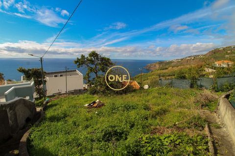Byhus i Ribeira Brava, Madeira, Ribeira Brava - € 1.450.000 | Ref: ONE361961-2 - foto 43