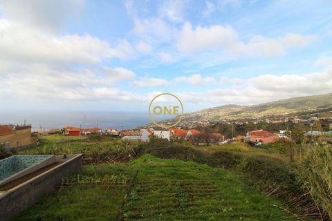 Byhus i Calheta, Madeira, Calheta - € 895.000 | Ref: ONE361961-11 - foto 11