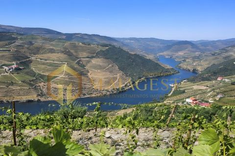 Farm i Tabuaco, Viseu, Tabuaco - € 760.000 | Ref: tab_P260101 - foto 1