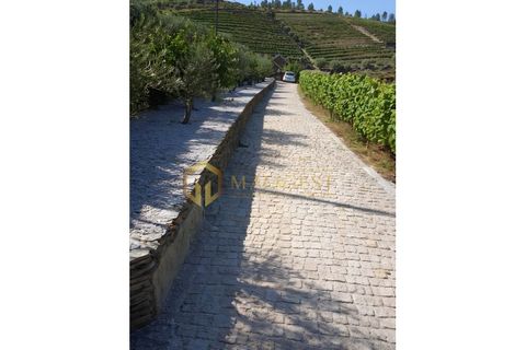 Farm i Tabuaco, Viseu, Tabuaco - € 760.000 | Ref: tab_P260101 - foto 2