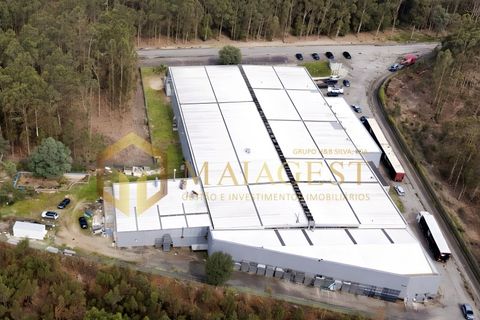 Erhvervsejendom i Vila do Conde, Porto, Vila do Conde - € 3.200.000 | Ref: svlc_P260101 - foto 1