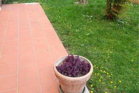 Villa a Fucecchio, Florence, Fucecchio - € 330.000 | Ref: CS65 - foto 2