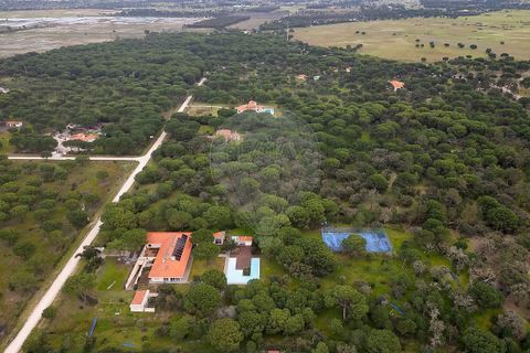 Villa a Benavente, Santarem, Benavente - € 4.500.000 | Ref: VA-122611136-256 - foto 2