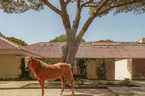 Villa a Benavente, Santarem, Benavente - € 4.500.000 | Ref: VA-122611136-256 - foto 9