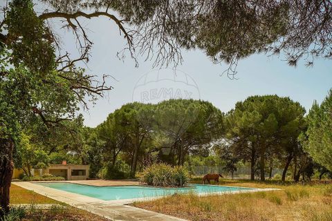 Villa a Benavente, Santarem, Benavente - € 4.500.000 | Ref: VA-122611136-256 - foto 20