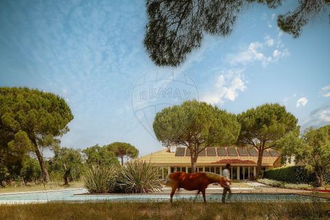 Villa a Benavente, Santarem, Benavente - € 4.500.000 | Ref: VA-122611136-256 - foto 24