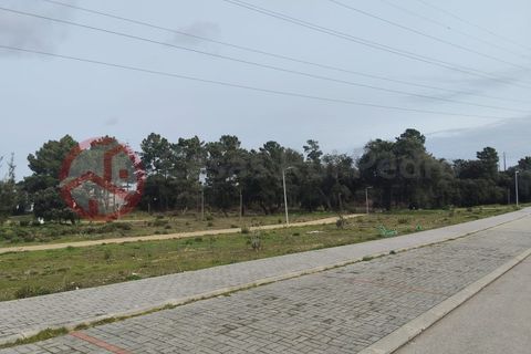 Villa i Quinta do Anjo, Setubal, Quinta do Anjo - € 750.000 | Ref: 4805GP1 - foto 7
