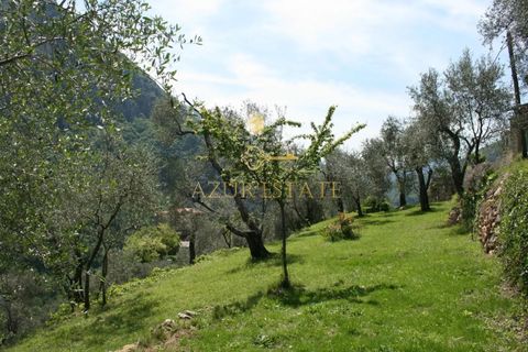 Villa i Breil-sur-Roya, Alpes-Maritimes, Breil-sur-Roya - € 320.000 | Ref: 86661044 - foto 8