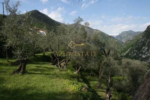 Villa i Breil-sur-Roya, Alpes-Maritimes, Breil-sur-Roya - € 320.000 | Ref: 86661044 - foto 11