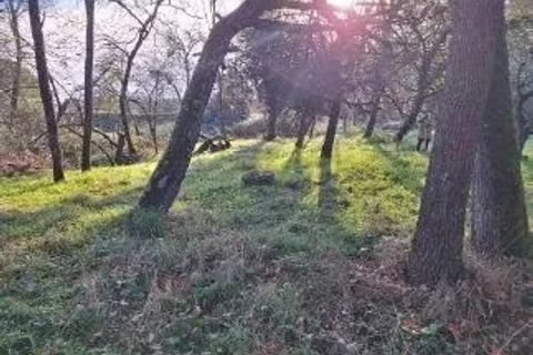 Tomt i Pibrac, Haute-Garonne, Pibrac - € 177 000 | Ref: 8752 - foto 3