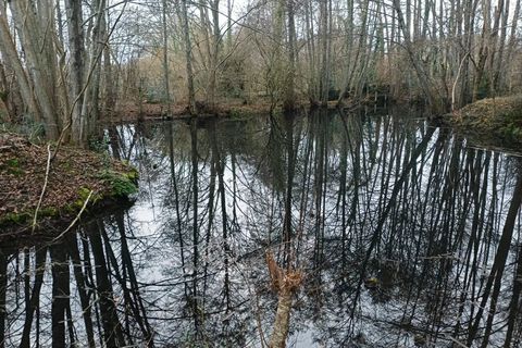 Villa i Boissy-Maugis, Orne, Boissy-Maugis - € 267.500 | Ref: 86662347 - foto 5