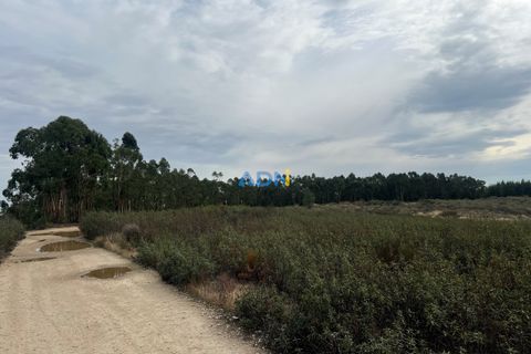 Helårsgrund i Castelo Branco, Castelo Branco, Castelo Branco - € 150.000 | Ref: 126007 - foto 4