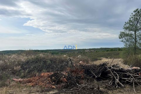 Helårsgrund i Castelo Branco, Castelo Branco, Castelo Branco - € 150.000 | Ref: 126007 - foto 9
