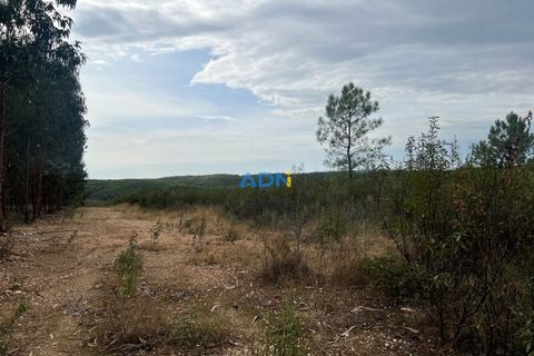 Helårsgrund i Castelo Branco, Castelo Branco, Castelo Branco - € 150.000 | Ref: 126007 - foto 11