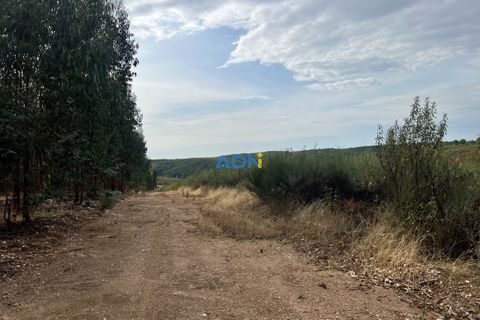 Helårsgrund i Castelo Branco, Castelo Branco, Castelo Branco - € 150.000 | Ref: 126007 - foto 12