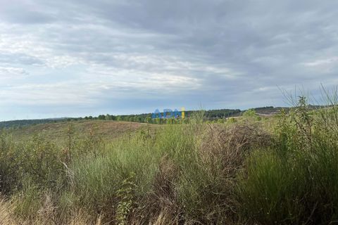 Helårsgrund i Castelo Branco, Castelo Branco, Castelo Branco - € 150.000 | Ref: 126007 - foto 13
