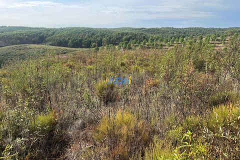 Helårsgrund i Castelo Branco, Castelo Branco, Castelo Branco - € 150.000 | Ref: 126007 - foto 28